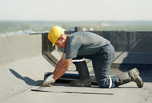 Best Attic Insulation Installation  in Ringwood, NJ